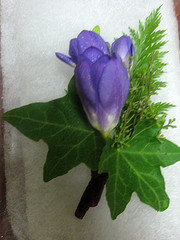 Purple Freesia Wedding Flower by pursehappygal