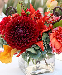 red flowers in square vase