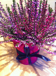 purple heather wedding centerpiece