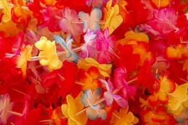 Hawaiian Leis Decorations