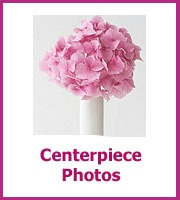 centerpiece photos