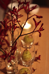 fall fruit centerpiece