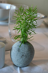 plant wedding centerpiece