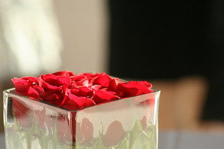 red roses in a cube vase