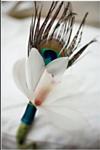 Peacock and Orchid Boutonniere, by welovebrides.com
