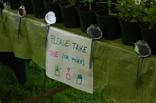 plant wedding favors