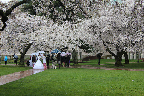 wet wedding