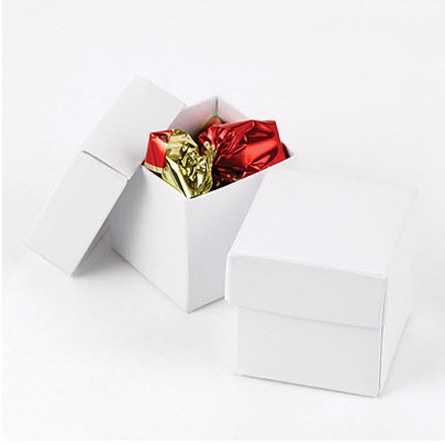 white favor boxes