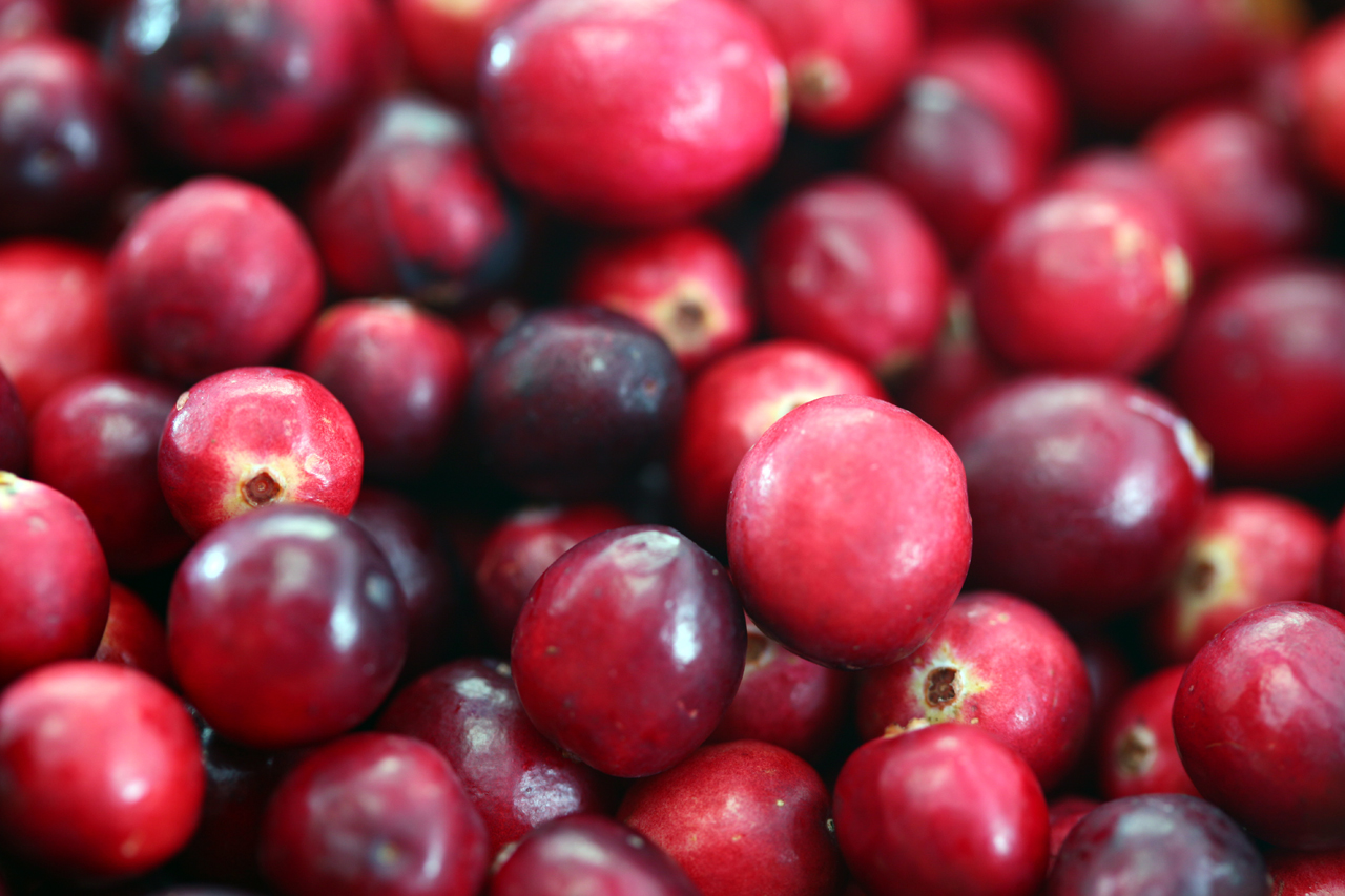cranberries for fruit centerpiece