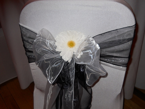 daisy chair cover with bow