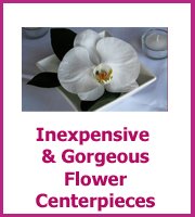 inexpensive exotic floral centerpieces