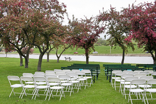 wedding in a park