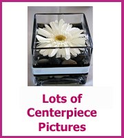 centerpiece pictures