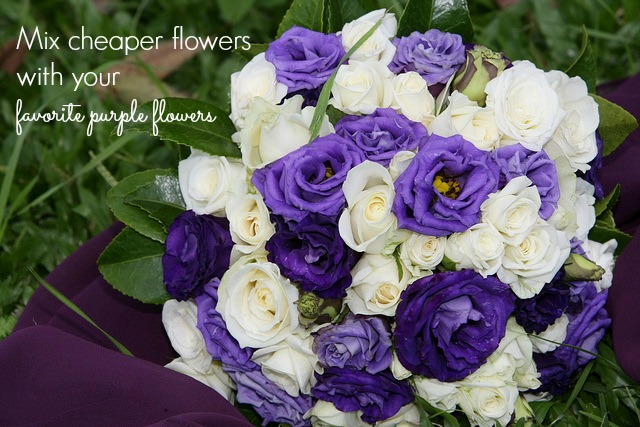 cheap purple flowers