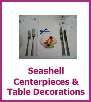 seashell centerpieces