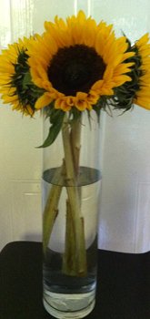 sunflowers in cylinder vase