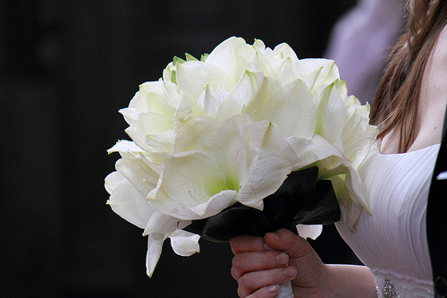 white wedding bouquet