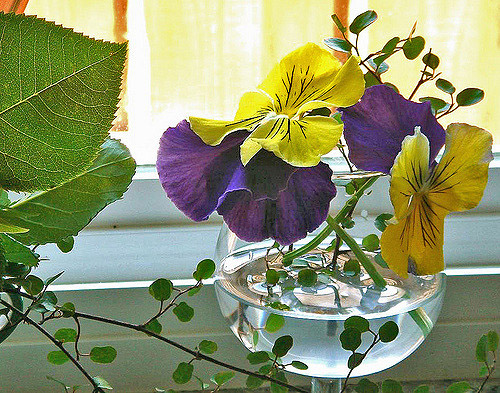 yellow pansy centerpiece