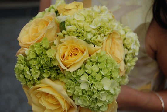 yellow rose bouquet